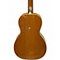 Used Breedlove CUSTOM P10/MM Mahogany Acoustic Guitar