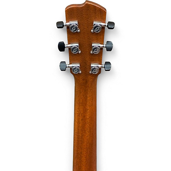 Used Breedlove CUSTOM P10/MM Mahogany Acoustic Guitar