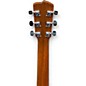 Used Breedlove CUSTOM P10/MM Mahogany Acoustic Guitar