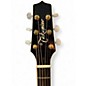 Used Takamin P6NC PRO SERIES NEX CUTAWAY Tobacco Sunburst Acoustic Electric Guitar