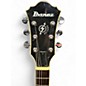 Used Ibanez AM73TBR Walnut Hollow Body Electric Guitar