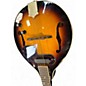 Used Fender FM25SE Sunburst Mandolin