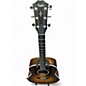 Used Taylor 417E-R Tobacco Sunburst Acoustic Electric Guitar