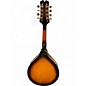 Used Mitchell AM100VS 2 Tone Sunburst Mandolin