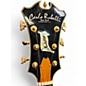 Used Carlo Robelli D-120 AS Manhattan 3 Tone Sunburst Hollow Body Electric Guitar