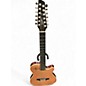 Used Godin A12 Antique Natural 12 String Acoustic Guitar thumbnail