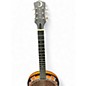 Used Luna CELTIC BANJO 2 Color Sunburst Banjo