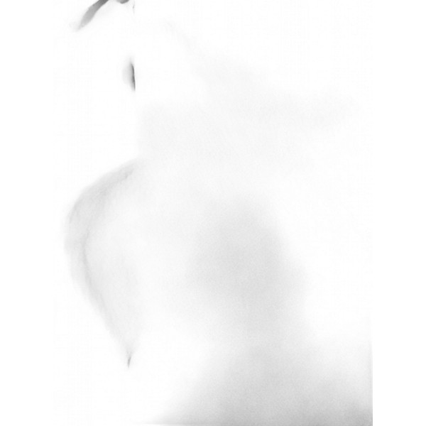 Vintage 1980s Morris M-50 Tobacco Burst Acoustic Guitar