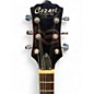 Used Cozart Resonator Cherry Hollow Body Electric Guitar