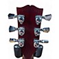 Used Gibson TRAD PRO V Iced Tea Solid Body Electric Guitar