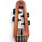 Used NS Design NTX Active Series Brown Sunburst Upright Bass