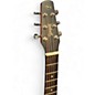 Used Seagull Entourage Folk Rustic Burst Acoustic Electric Guitar