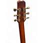 Used Seagull Entourage Folk Rustic Burst Acoustic Electric Guitar