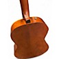 Used Seagull Entourage Folk Rustic Burst Acoustic Electric Guitar