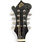 Used The Loar LM 310F-BRB Tobacco Mandolin