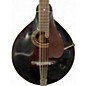 Vintage 1920s Gibson K-1 Mandocello Black Mandolin