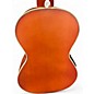Used Lucky Penny LP390ASE Natural Ukulele