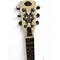 Used Regal RC58TT BRUSHED METAL Resonator Guitar