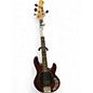 Used Sterling by Music Man Sub 4 Walnut Electric Bass Guitar thumbnail
