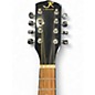 Used J. Reynolds JRMAN30 Black Mandolin