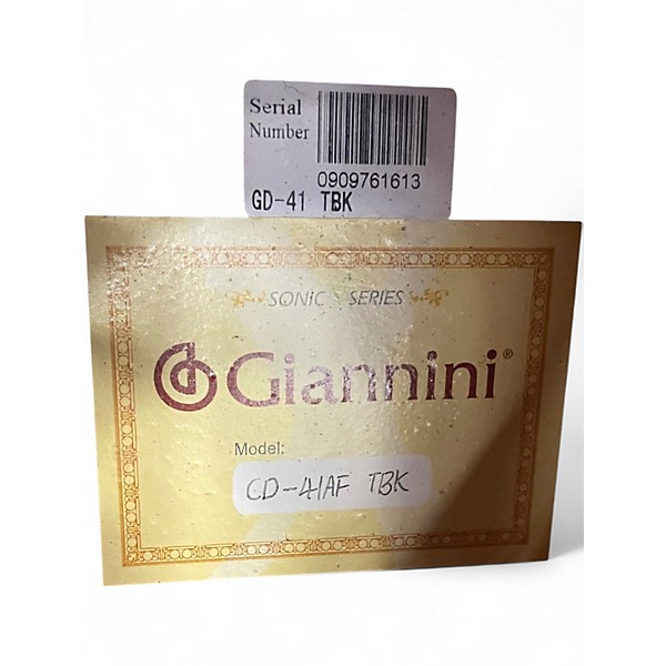 Used Giannini CD41 GRAY Acoustic Guitar