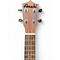 Used Amahi UKC-3DA5 Portrait Ukulele