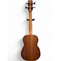 Used Cordoba Mini II Bass MH-E Mahogany Acoustic Bass Guitar