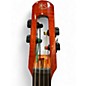 Used Ns Designs WAV4c Series 4-String Omni Bass AMBER BURST Upright Bass