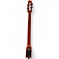 Used Ns Designs WAV4c Series 4-String Omni Bass AMBER BURST Upright Bass