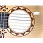 Used Cordoba COCO DISNEY CLASSICAL Natural Classical Acoustic Guitar