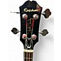Used Epiphone Jack Casady Signature Gold Electric Bass Guitar