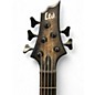 Used Ltd 8-5 BURL TOP Electric Bass Guitar