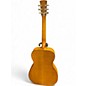 Used Dobro Hound Dog Deluxe Round Neck Tiger Eye Resonator Guitar