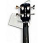 Used Supro huntington piezo Walnut Electric Bass Guitar