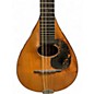 Vintage 1919 Martin A Style Mandolin Natural Mandolin