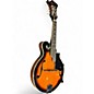 Used Johnson MF100 Tobacco Sunburst Mandolin thumbnail