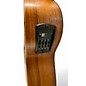 Used Taylor GS MINI E KOA BASS KOA Acoustic Bass Guitar