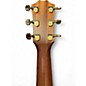 Used Taylor 50th 414ce special edition Sunburst Acoustic Electric Guitar