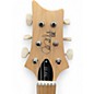 Used PRS NF53 SE BLACK DOG HAIR Solid Body Electric Guitar