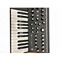 Used Moog Subsequent 25 Synthesizer