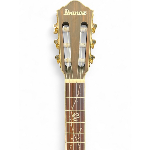 Used Ibanez TOD10N Flat Black Classical Acoustic Electric Guitar