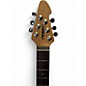 Used Peavey Raptor Plus Midnight Plum Solid Body Electric Guitar