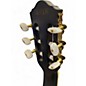 Used Ibanez TOD10N Tim Henson Signature Black Flat Classical Acoustic Electric Guitar
