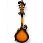 Used Hondo HM5 Tobacco Burst Mandolin