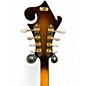Used Hondo HM5 Tobacco Burst Mandolin