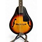 Used Hondo II HM6 3 Color Sunburst Mandolin