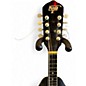 Used Hondo II HM6 3 Color Sunburst Mandolin