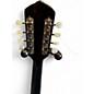 Used Hondo II HM6 3 Color Sunburst Mandolin