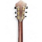 Used Recording King RR97 VG SWAMP DOG OXIDIZED COPPER Acoustic Guitar