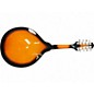 Used Rogue RM110AE 2 Tone Sunburst Mandolin